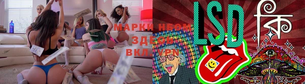 мдма Гусев