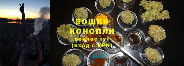 мдма Гусев